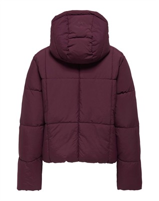 JDYWonder Short Hood Puffer Jakke 